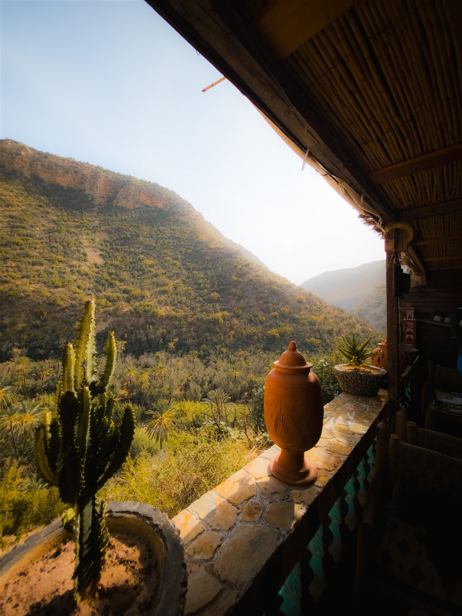 Cactus and clay jar on a terrace above a palm valley