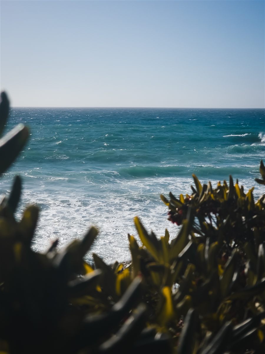 Waves on a wild beach