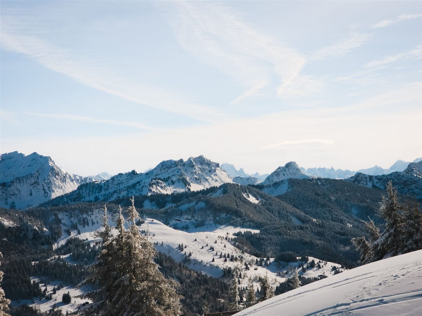 Snowy peaks above forested valleys